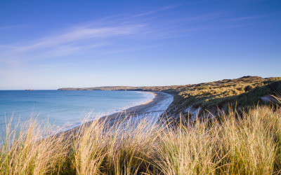 Frost on the Beach